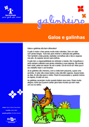 Galos e Galinhas